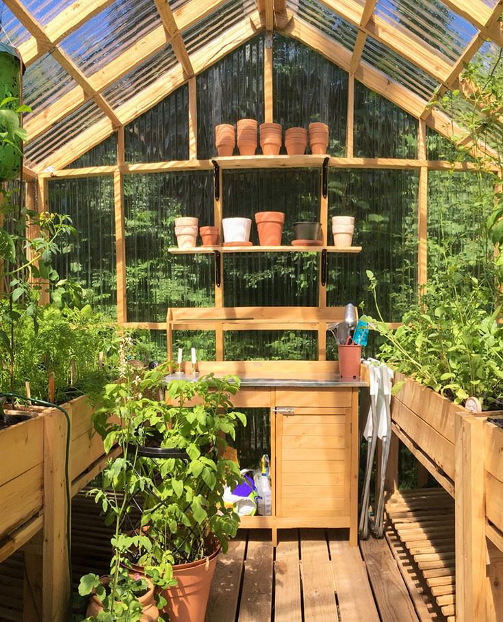 Greenhouse interior