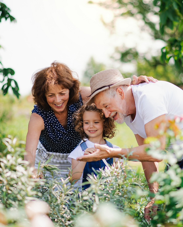 Grandfather with mother and daughter looking at bushes